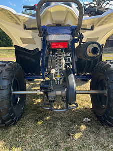 Laste ATV Pentora 110 (2 foto / 9)