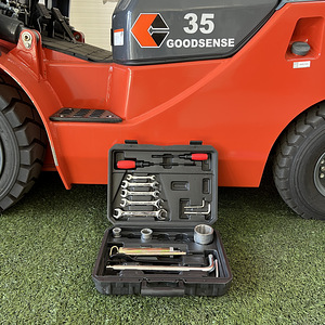 Goodsense FD35 G-Seeria diiseltõstuk (5 foto / 5)