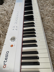 Artesia Performer (3 фото из 4)