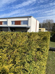 Aiatööd ja haljastus (2 foto / 6)