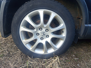 Honda crv (8 фото из 8)