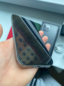 iPhone 13 Pro Max Graphite + AirPods + чехлы (3 фото из 6)