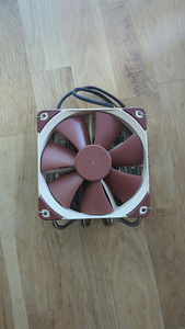 Noctua NH-L12 cooler (3 foto / 4)
