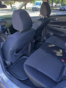 NISSAN PULSAR.1.2 .85kw. bensiin.TURBO. (3 foto / 10)